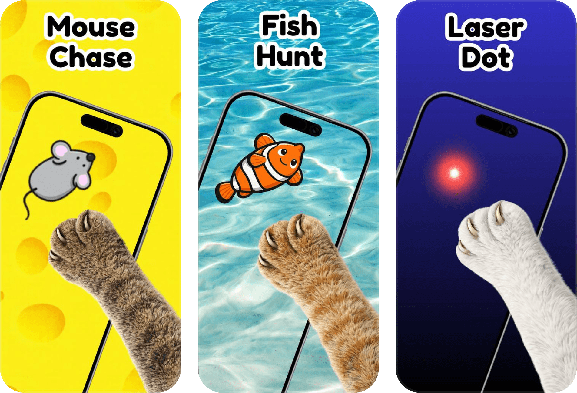 Cat Games for Cats